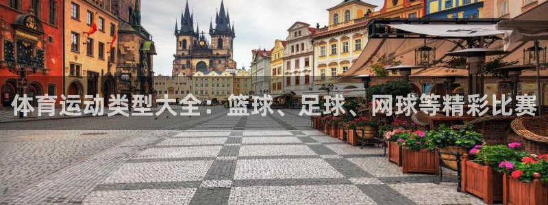 福建领航国际机电股份公司：体育运动类型大全：篮球、足球、网球等精彩比赛
