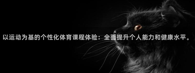 领航国际登录：以运动为基的个性化体育课程体验：全面提升个人能力和健康水平。