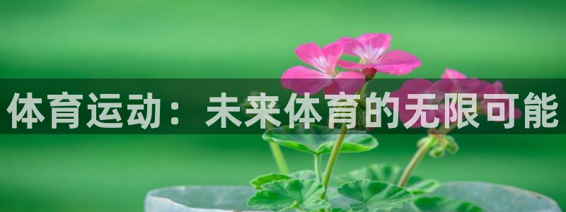 领航国际体育平台总代理：体育运动：未来体育的无限可能