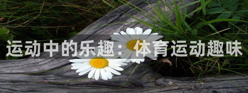 德国意昂集团：运动中的乐趣：体育运动趣味