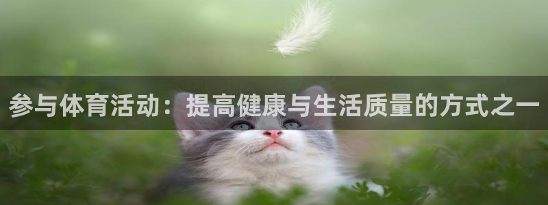 意昂注册：参与体育活动：提高健康与生活质量的方式之一
