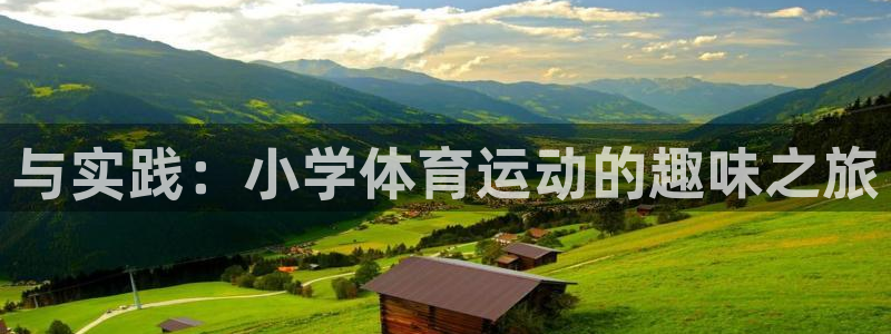 领航国际3官网：与实践：小学体育运动的趣味之旅