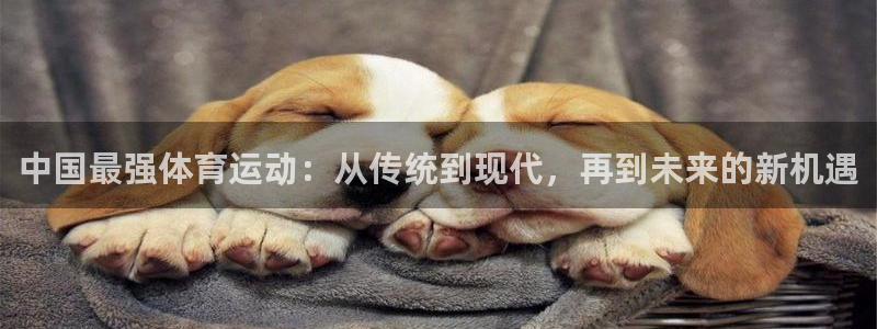 领航国际体育用品：中国最强体育运动：从传统到现代，再到未来的新机遇