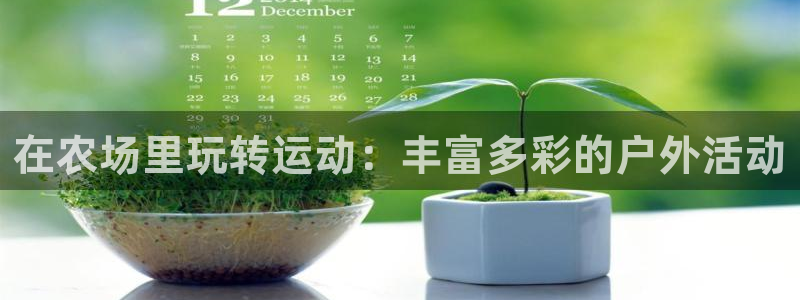 领航国际2体育：在农场里玩转运动：丰富多彩的户外活动