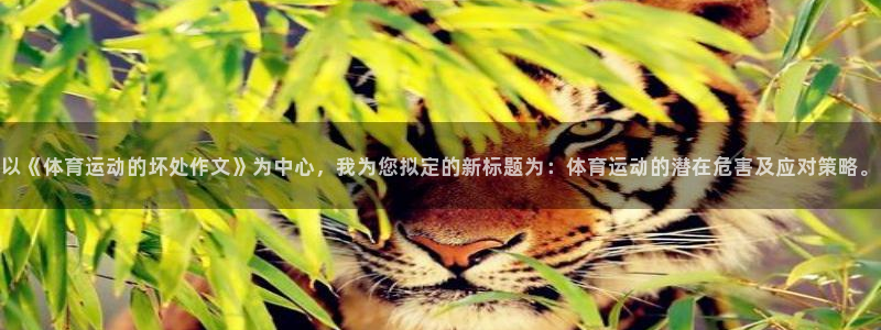 意昂3：以《体育运动的坏处作文》为中心，我为您拟定的新标题为：体育运动的潜在危害