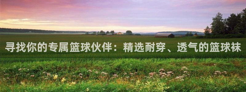 领航国际官网入口：寻找你的专属篮球伙伴：精选耐穿、透气的篮球袜