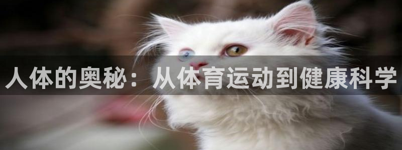 意昂kgame：人体的奥秘：从体育运动到健康科学