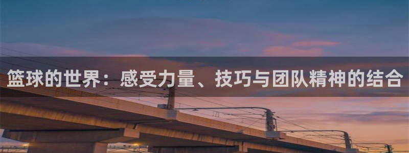 领航国际体育在线注册：篮球的世界：感受力量、技巧与团队精神的结合