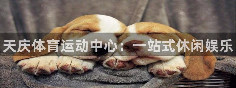 意昂4平台注册：天庆体育运动中心：一站式休闲娱乐