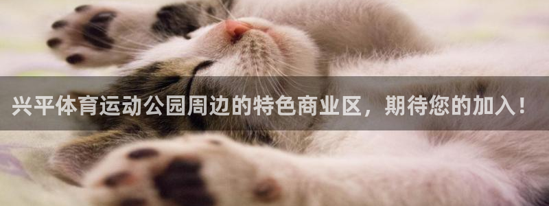 福建领航国际机电股份公司：兴平体育运动公园周边的特色商业区，期待您的加入！
