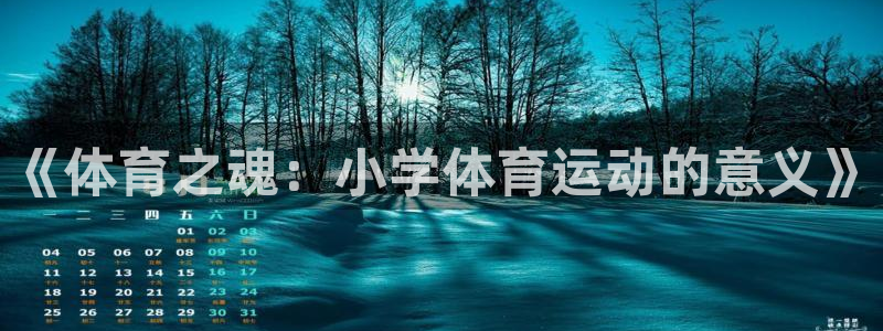 领航国际体育代理