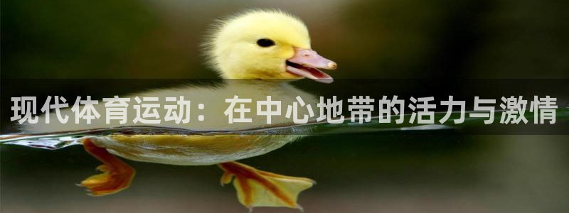 领航国际凯捷开号链接：现代体育运动：在中心地带的活力与激情